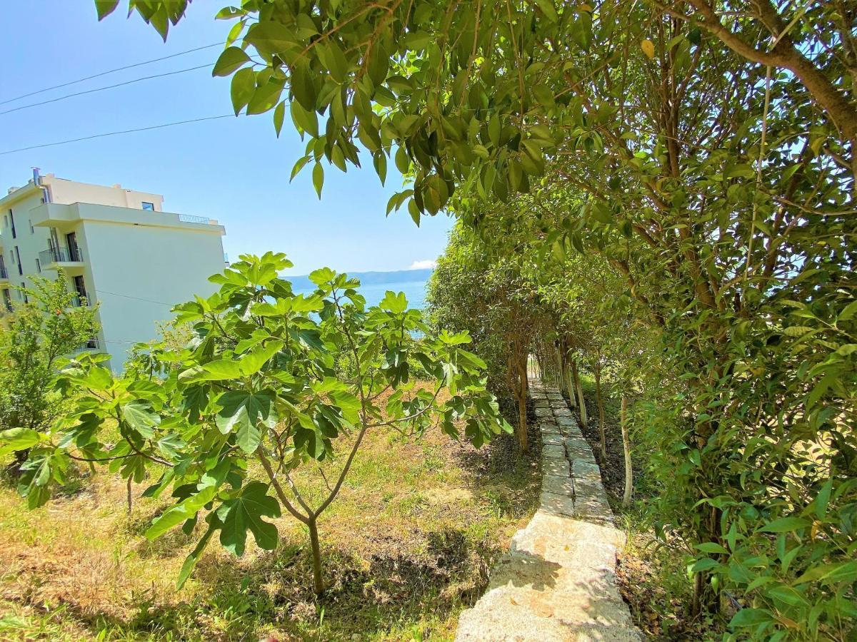 Ramo'S Cozy Beachside Haven With Panoramic Views - 1St Vlorë Εξωτερικό φωτογραφία