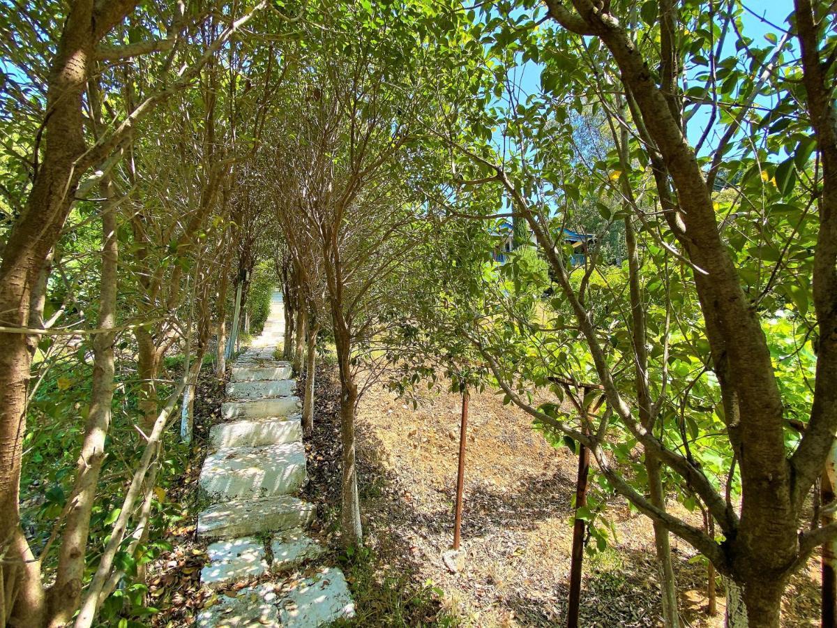 Ramo'S Cozy Beachside Haven With Panoramic Views - 1St Vlorë Εξωτερικό φωτογραφία
